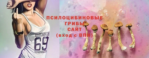 молекула духа Саяногорск