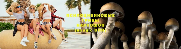 молекула духа Саяногорск
