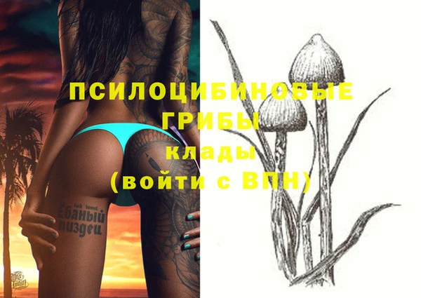 спиды Абдулино