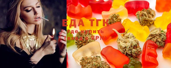 индика Алзамай