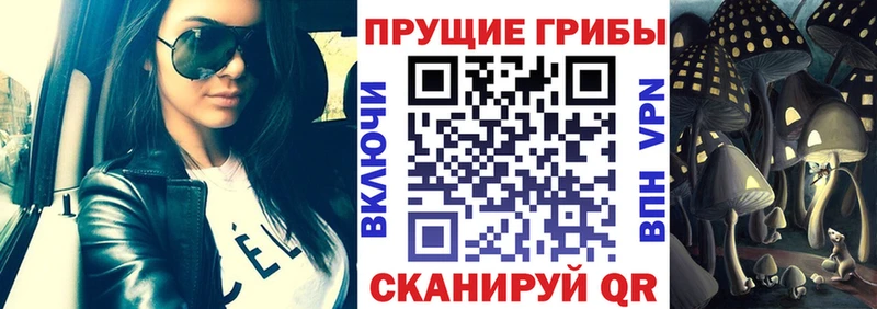 Галлюциногенные грибы прущие грибы  Бугуруслан 